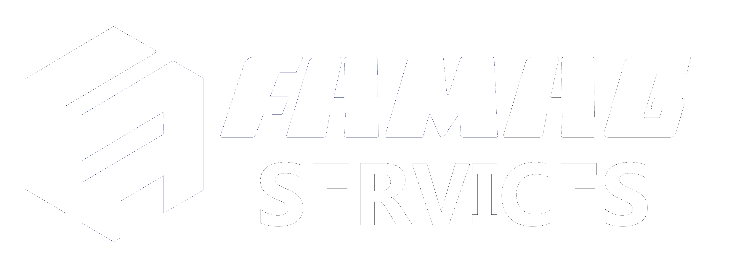 logo fmgsav blanc