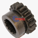 NH98505115-Pignon-z-17-1